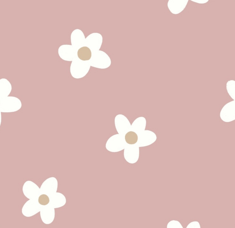 Prechodný softshell overal Lady Bear