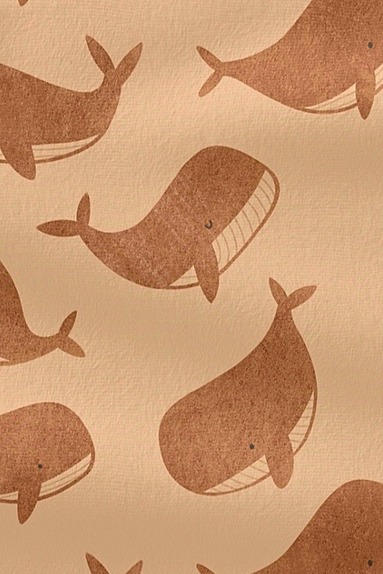 Prechodný softshell overal Rulers of the Wild 