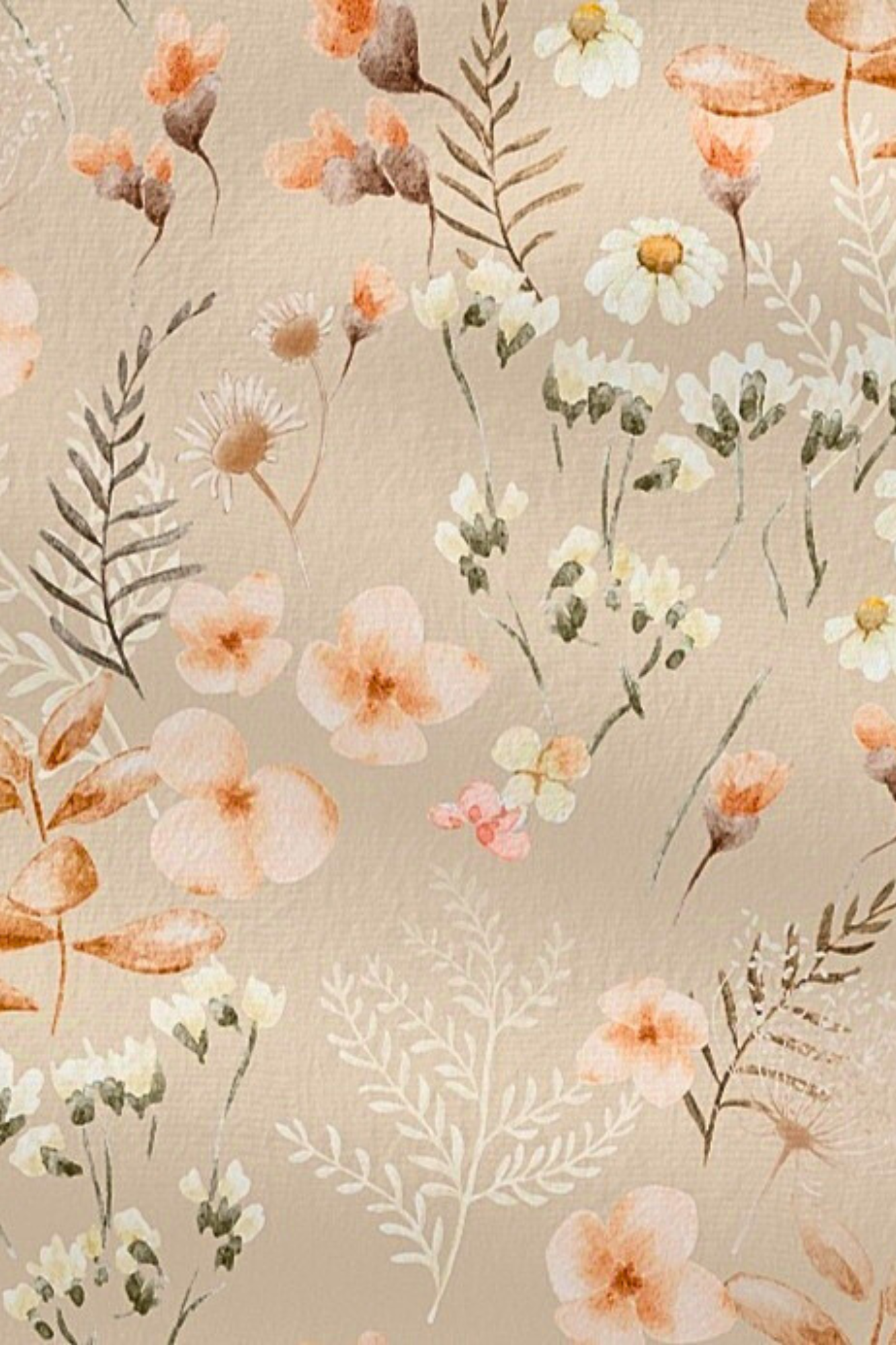 Prechodný softshell overal Rulers of the Wild 